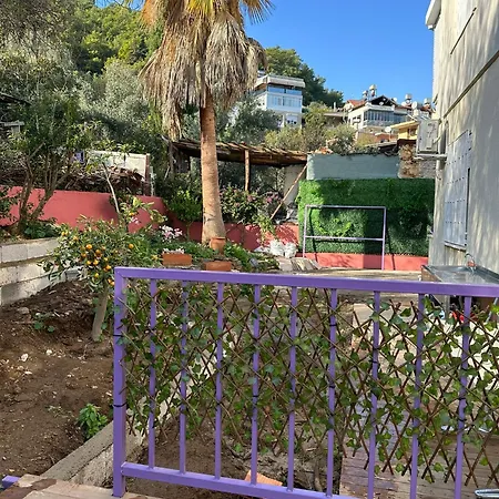Seaview Castle House דירה